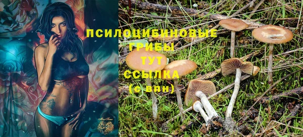 таблы Алзамай