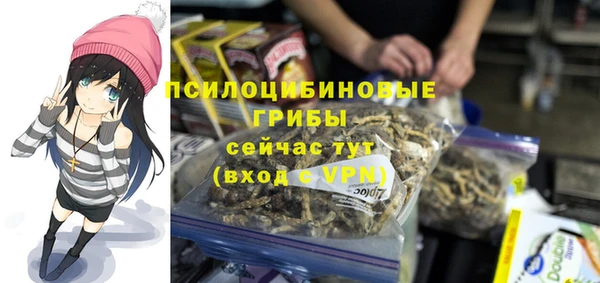 молекула духа Аркадак